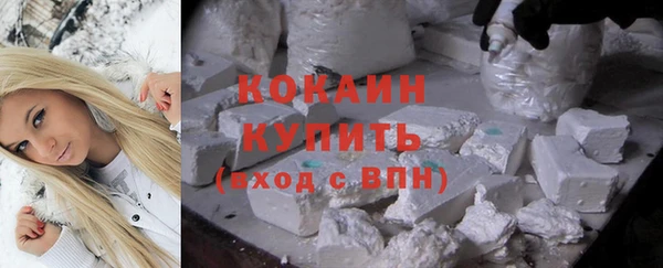бошки Бронницы