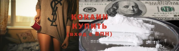 крисы Богородицк