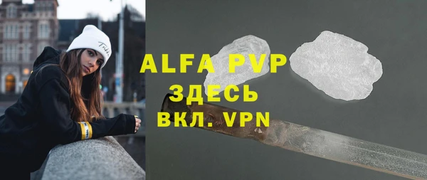 Альфа ПВП Бородино