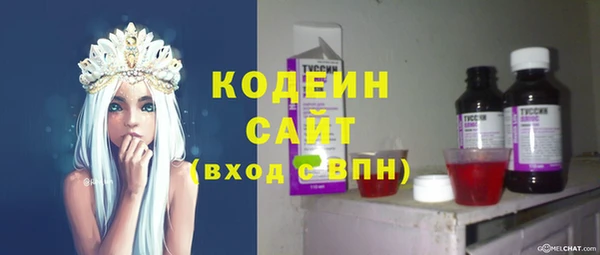 крисы Богородицк