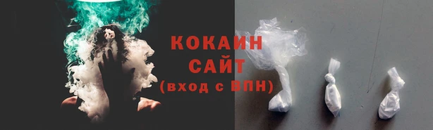 ГАЛЛЮЦИНОГЕННЫЕ ГРИБЫ Богородск