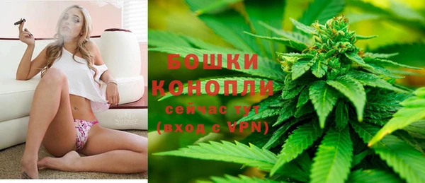ГАЛЛЮЦИНОГЕННЫЕ ГРИБЫ Богородск