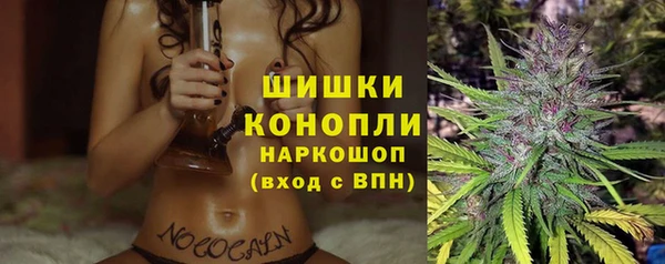 Альфа ПВП Бородино
