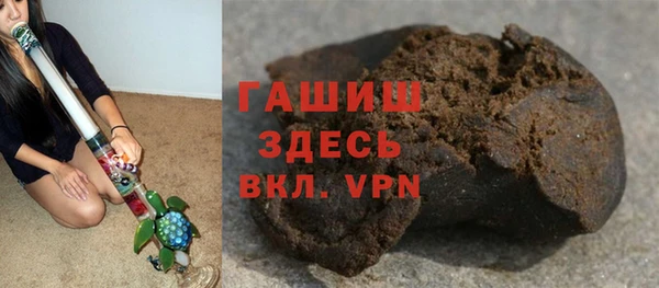 индика Беломорск