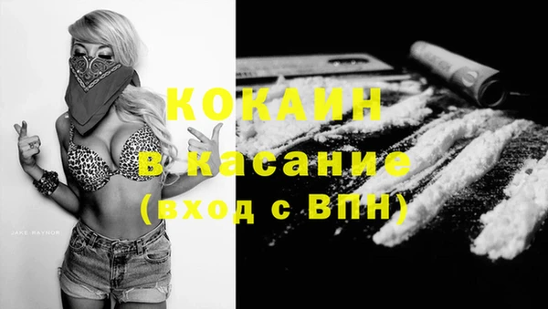 Альфа ПВП Бородино