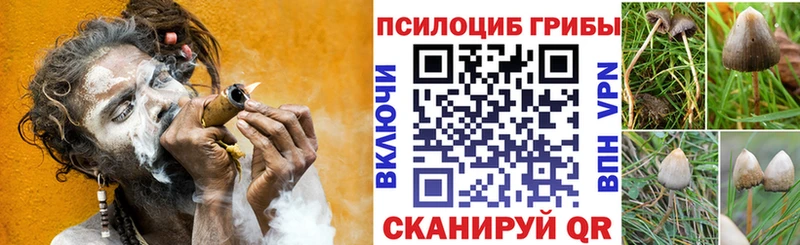 Псилоцибиновые грибы MAGIC MUSHROOMS  цены наркотик  Магас 